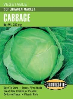 Cabbage - Cabbage Copenhagen Market
