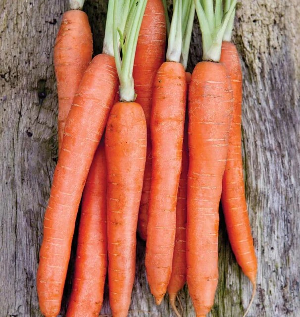 Carrots - Nantes Coreless