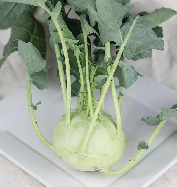 Kohlrabi - Konan (Coated)