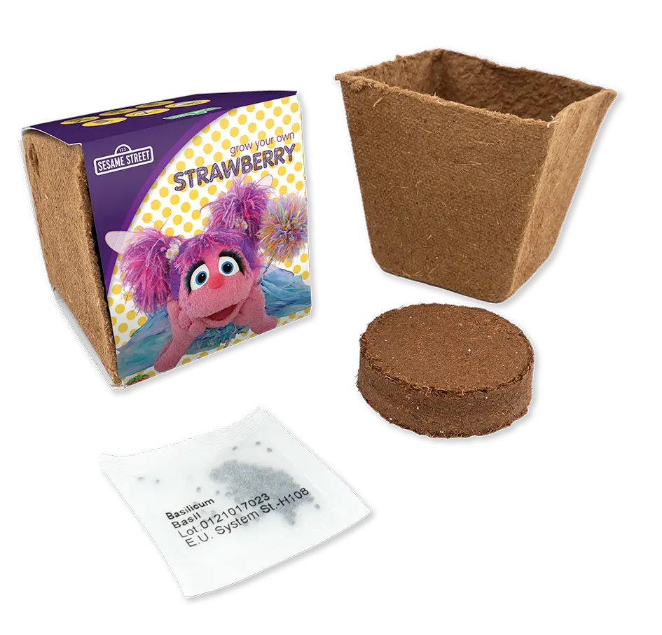 Abby Cadabby Strawberry seeds in Eco Pot