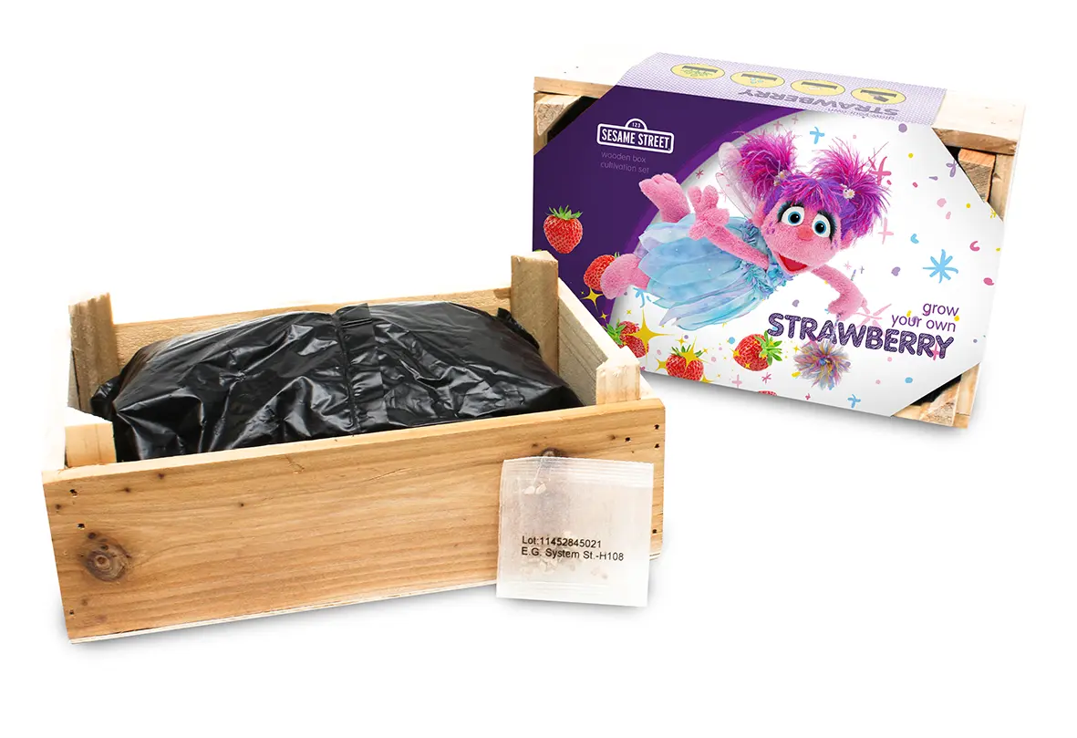 Abby Cadabby Strawberry Tray