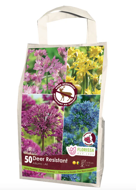 Deer Resistant Allium Mix