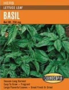 Basil - Lettuce Leaf