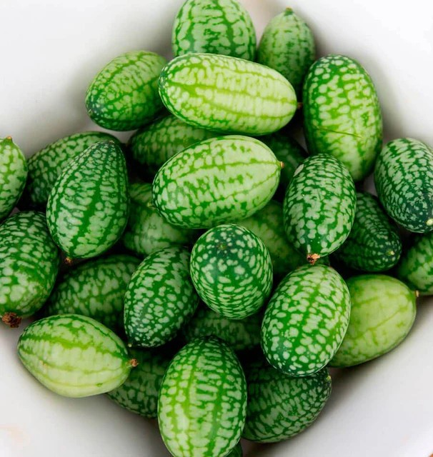 Cucumbers - Cucamelon