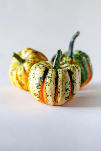 Squash - Thriller F1