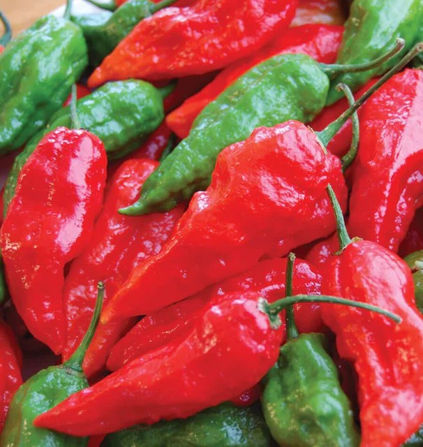 Peppers - Ghost Chili Pepper