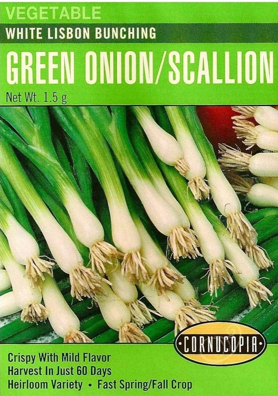 Onion - Onion White Lisbon Bunching
