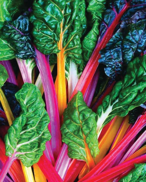 Swiss Chard - Bright Lights