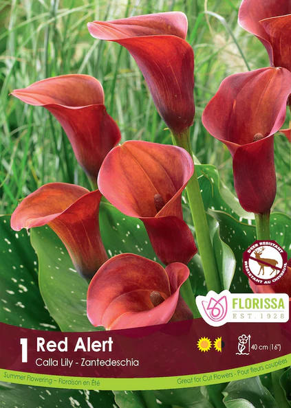 Calla Red Alert
