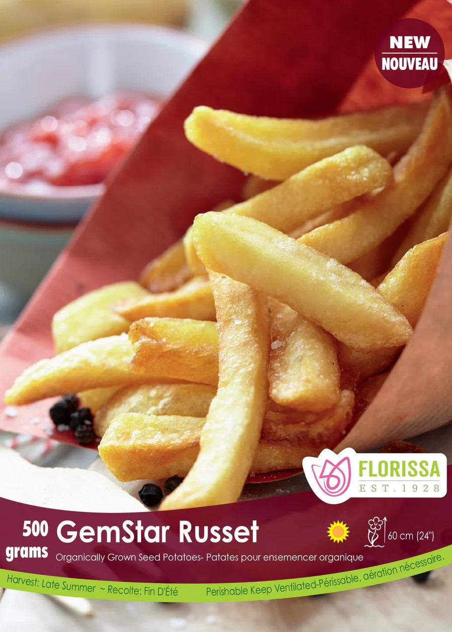 POTATOES - GemStar Russet